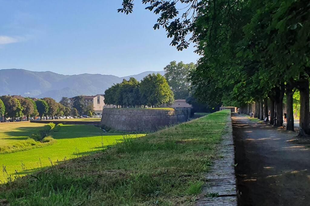 Marilu's Home: Behind San Martino Lucques
